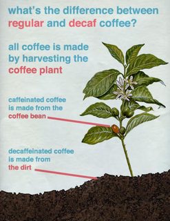 How is Decaf Coffee Made